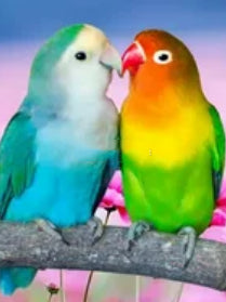 cc2dd958a22b3f27bb3b0fd0a1b9022f